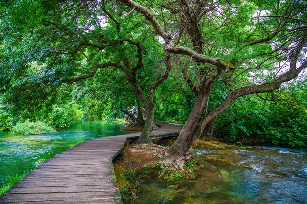 Camino de madera en el hermoso parque nacional verde de Krka, Croacia