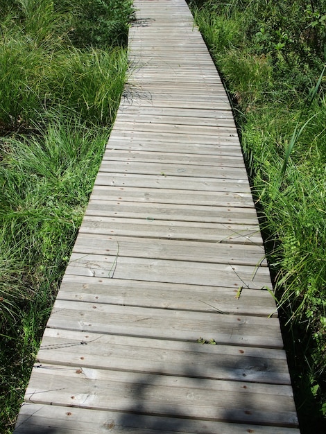 Camino de madera en humedales en Francia