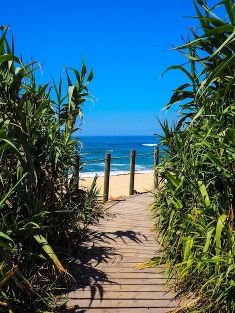 Camino de madera junto a la playa