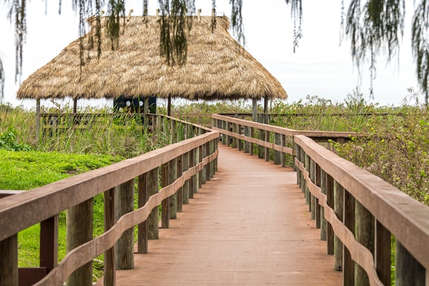 Camino de madera en pantano en Everglades, Florida