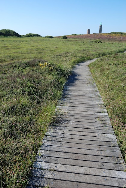 Camino de madera en el páramo