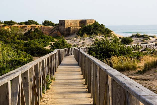 Camino de madera a la playa