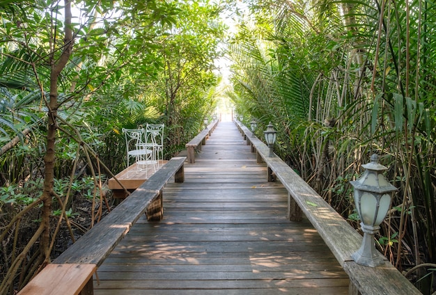 Camino de madera recto en jardín de sombra tropical