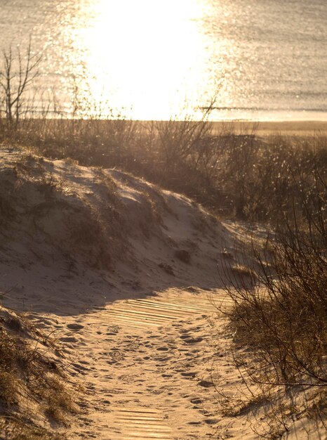 Camino de madera a través de las dunas de arena hasta el Mar Báltico en un día soleado en la ciudad de Klaipeda, Lituania