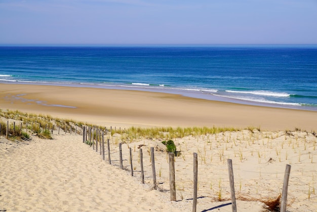 Camino del mar de arena acceso a la playa atlántica en dunas de arena en el océano lacanau francia