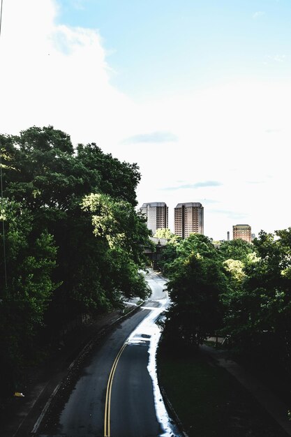 Camino en medio de los árboles contra el cielo