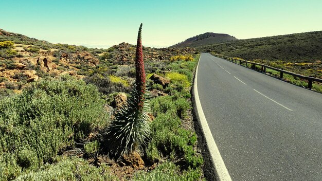 Foto camino en medio de los árboles contra el cielo