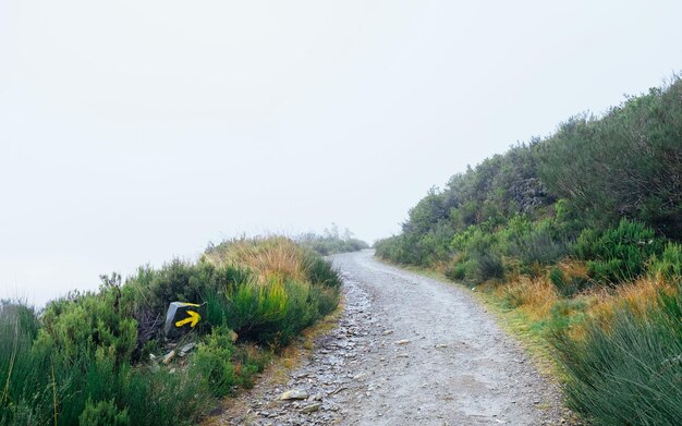 Foto camino en medio de los árboles contra el cielo