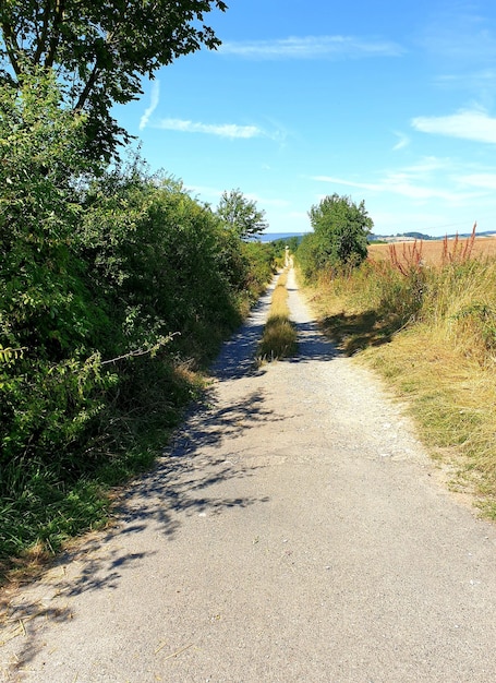 Foto camino en medio de los árboles contra el cielo