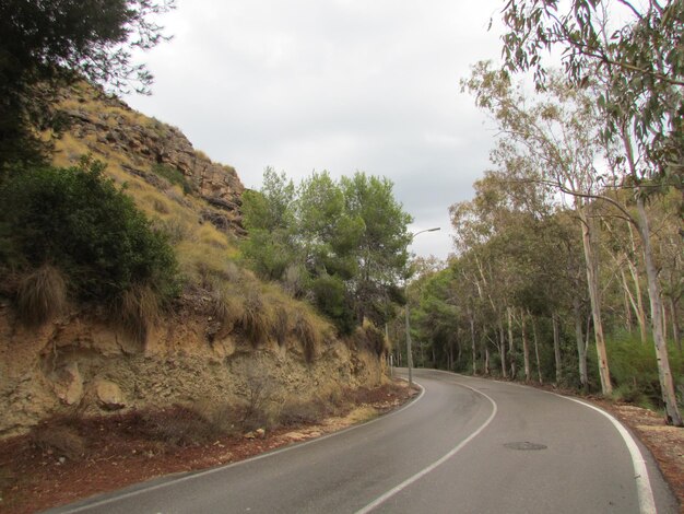 Foto camino en medio de los árboles contra el cielo