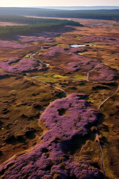 Foto un camino en el medio de un campo con un camino y una pequeña colina