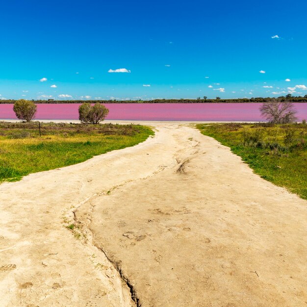 Foto camino en medio del campo contra el cielo azul