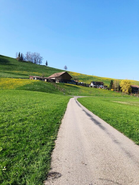 Foto camino en medio de un campo contra un cielo despejado