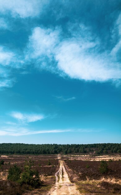 Foto camino en medio del campo contra el cielo