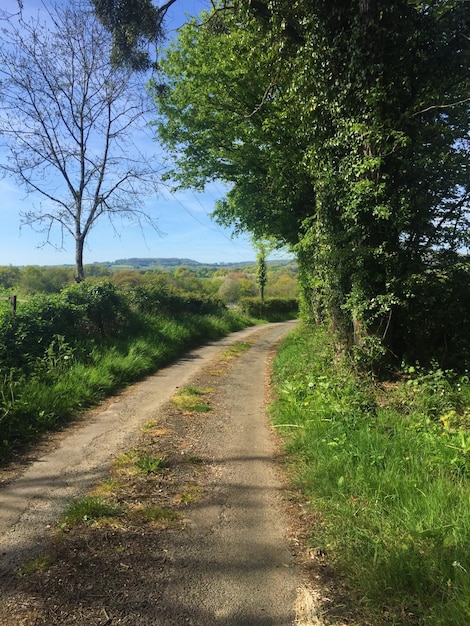 Foto camino en medio del campo contra el cielo