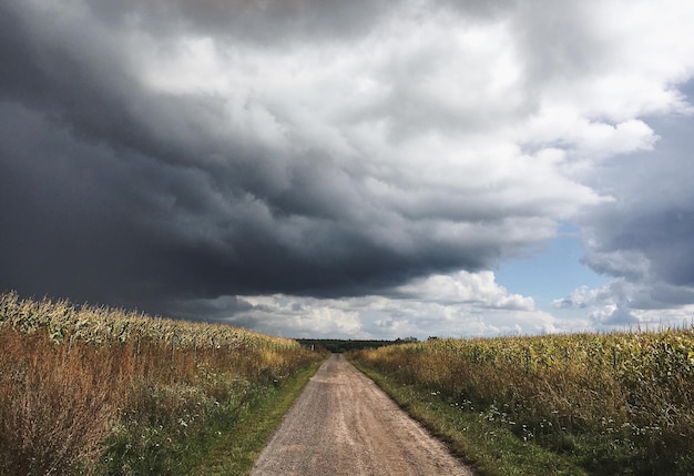 El camino en medio del campo contra las nubes de tormenta