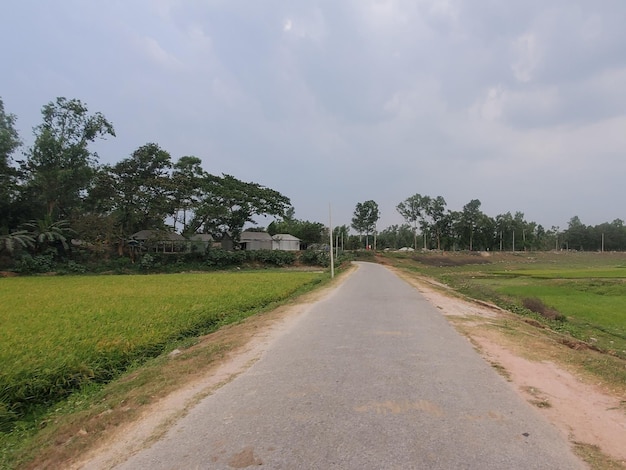 Un camino en medio de un campo.