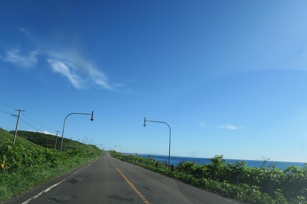 Foto camino en medio de plantas contra el cielo azul