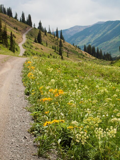 Camino de montaña en Crested Butte, Colorado