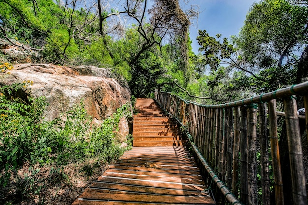 Camino de montaña hermoso y natural.