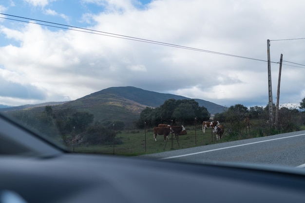 Foto camino de montaña en las montañas con garras