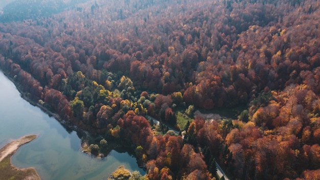 Camino de montaña de otoño