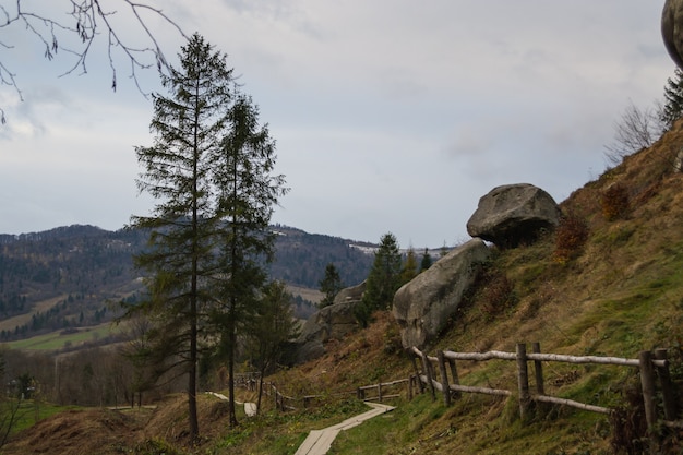 Camino de montaña