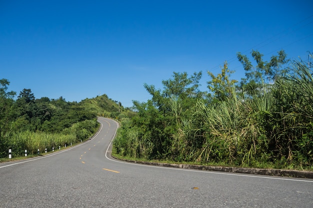 El camino hacia la montaña