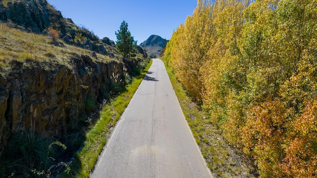 Un camino en las montañas con árboles a ambos lados