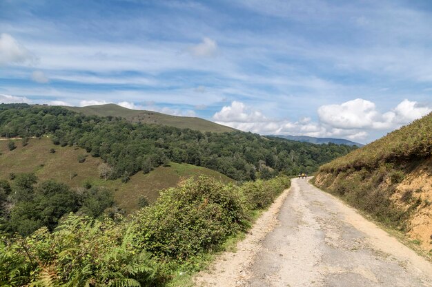 Camino en las montañas Cantabria España