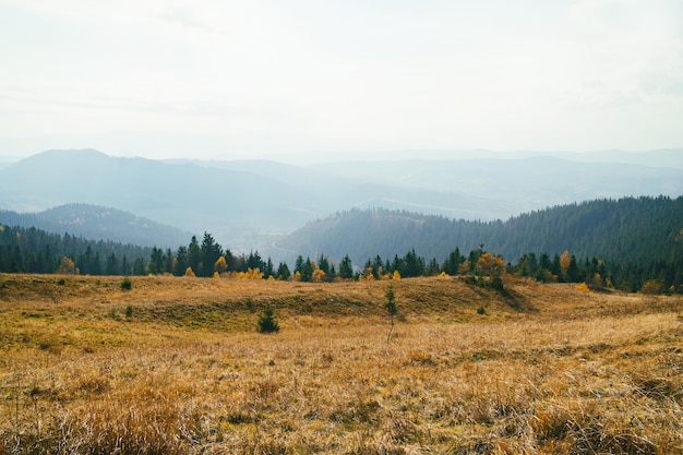 Camino de las montañas de los Cárpatos de otoño