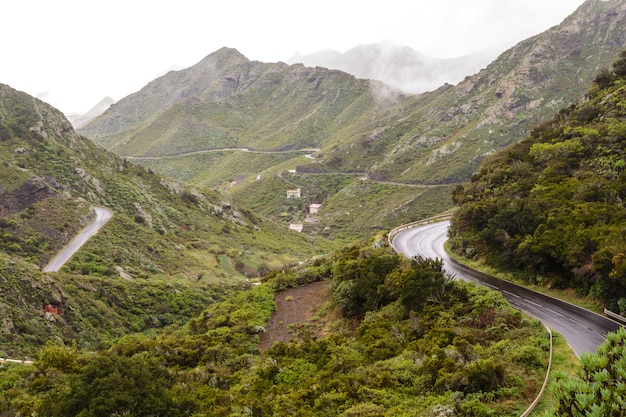 Camino en las montañas después de la lluvia. niebla ligera en las montañas.