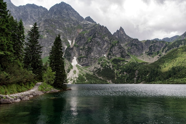 Camino en las montañas. Parque Nacional de Tatra, Polonia.