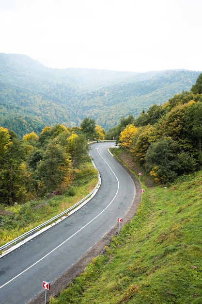 Camino en las montañas