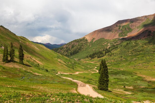 Camino en las montañas