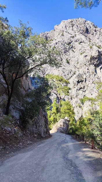 Camino en las montañas