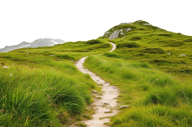 Camino en las montañas