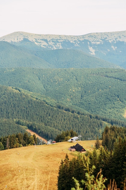 El camino hacia el monte Dovga, montañas de los Cárpatos ucranianos