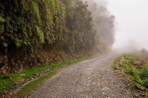 Foto el camino de la muerte el camino más peligroso del mundo norte yungas bolivia