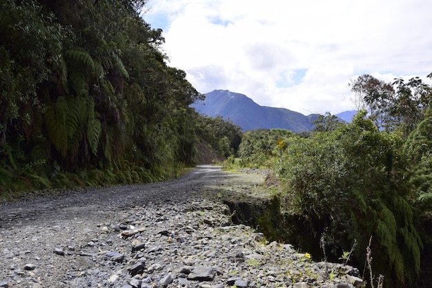 Camino de la muerte Camino de la Muerte Yungas Carretera Norte entre La Paz y Coroico Bolivia