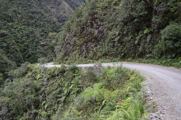 Camino de la muerte Camino de la Muerte Yungas Carretera Norte entre La Paz y Coroico Bolivia