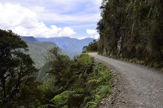 Camino de la muerte Camino de la Muerte Yungas Carretera Norte entre La Paz y Coroico Bolivia