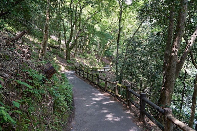 Camino natural con hermosos paisajes