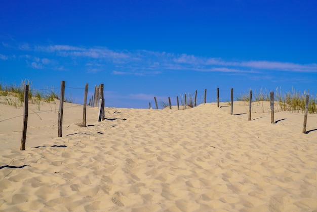 Camino de la naturaleza arenosa acceso al mar de la playa en la costa atlántica del mar de verano en gironda, francia