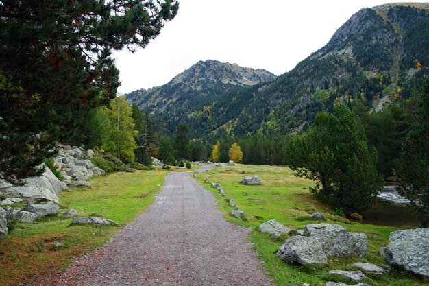 Camino en la naturaleza en otoño