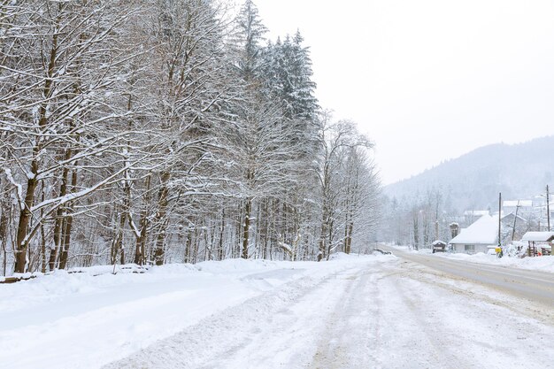 Camino nevado cerca del pueblo, un árbol en la nieve. Camino resbaladizo. Invierno helado.