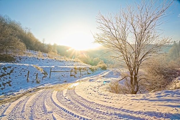 Un camino nevado en un día de invierno