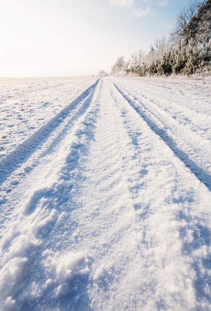 Camino nevado de invierno por la mañana