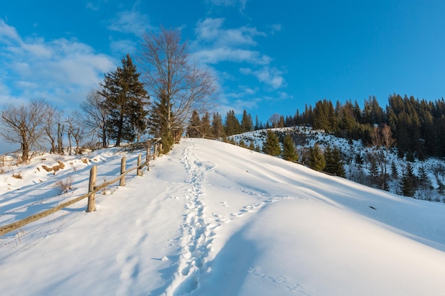 Camino nevado rural de la montaña de la mañana del invierno