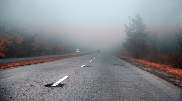 Camino de niebla en la mañana.